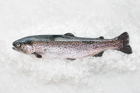 Forellenfilet geräuchert