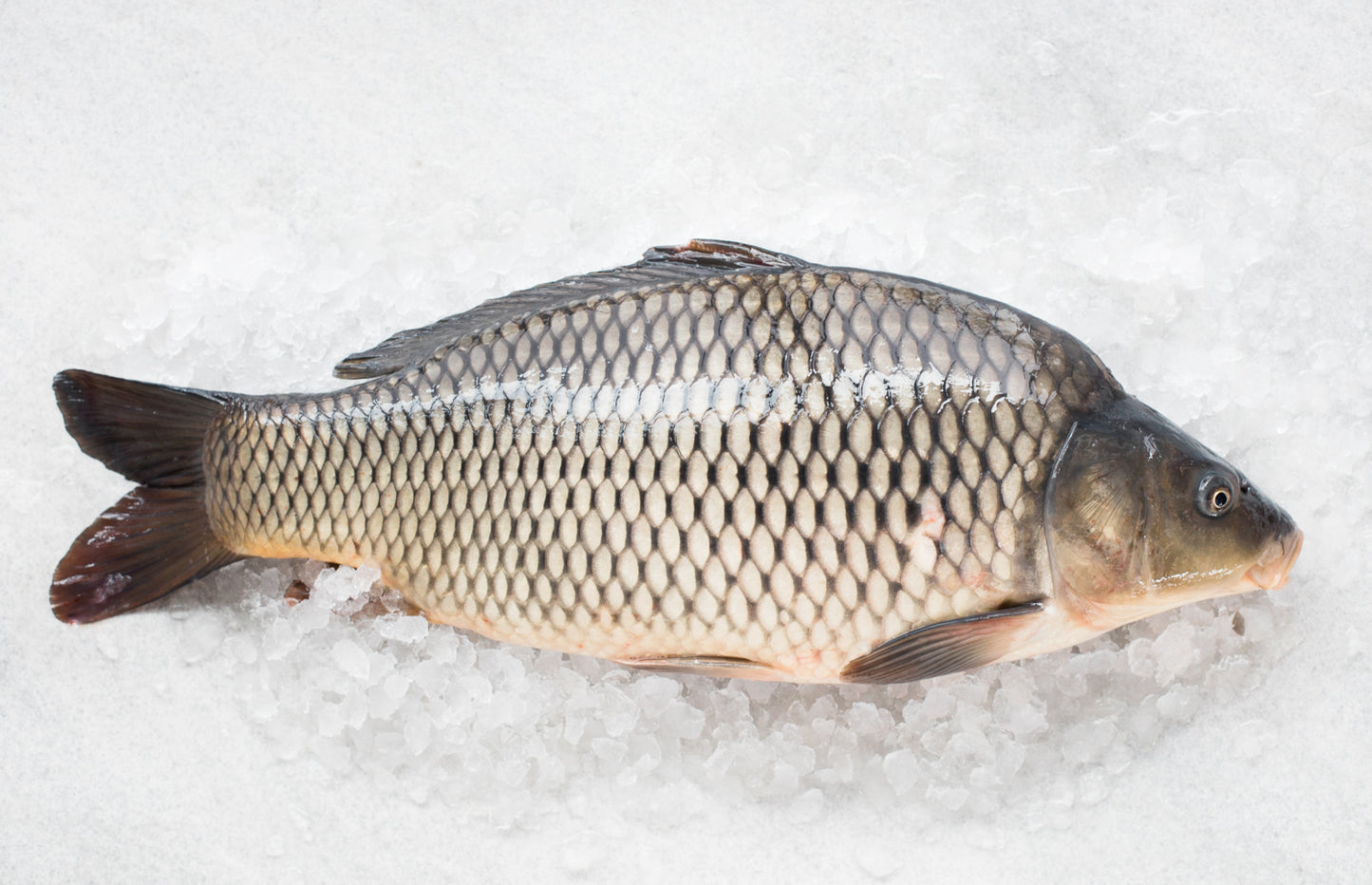 Karpfenfilet geräuchert