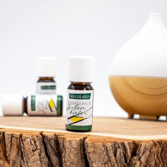 Ätherisches Öl Zirbenkiefer