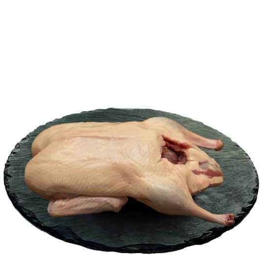 Eine ausgenommene, rohe ganze Ente liegt auf einer runden, dunklen Schieferplatte. Die Haut ist hell und glatt und die Öffnung im Brustbereich ist sichtbar.